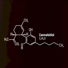 Molekulárna štruktúra CBD (Canabidiol)