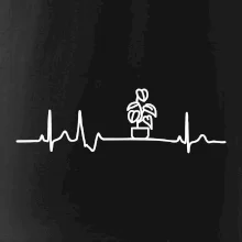 EKG Filodendron EKG Filodendron