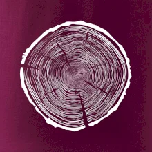 Letokruhy 95 bez veku