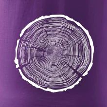 Letokruhy 100 bez veku