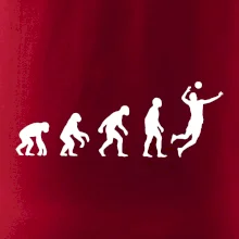 Evolúcia volejbal muž