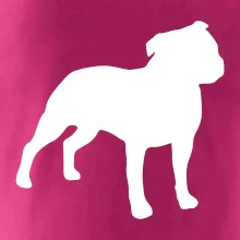 Americký stafordšírsky teriér Na prsníku