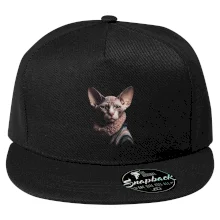 Kočka sphynx s límcem Kočka sphynx s límcem