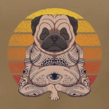 Yoga meditace - pug