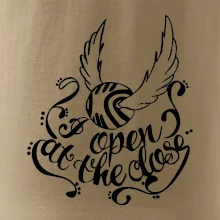 Harry - Zlatá strela