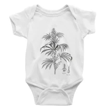 Konope kvietok čiernobiely  