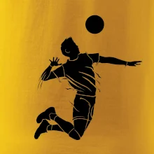 Volejbal splash jednoduchý