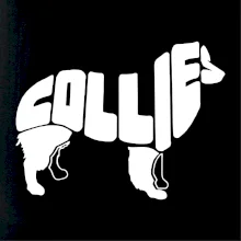 Border kólia písmo v tele Border kólia písmo v tele