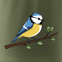 Sýkorka modrinka na vetve