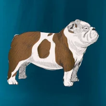 Vintage English bulldog