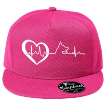 Nemecký ovčiak ekg