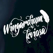 Harry - Wingardium Leviosa Harry - Wingardium Leviosa