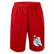 Brno penis raketa Brno penis raketa