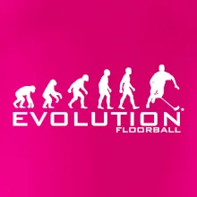 Evolúcia Floorball