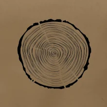 Letokruhy 30 bez veku