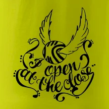 Harry - Zlatá strela