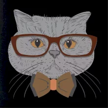 Hipster britská modrá Hipster britská modrá