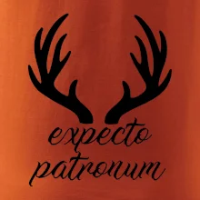 Harry - Expecto patronum Harry - Expecto patronum