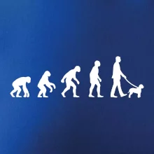 Lagotto romagnolo Evolúcia