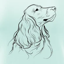 Anglický kokeršpaniel čierna kresba