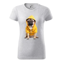 Mops v mikine Mops v mikine