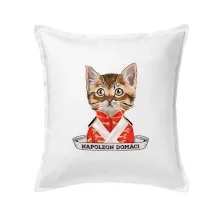 Napoleon domáci mačka