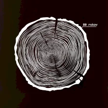 80 rokov - Letokruhy