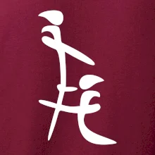 Čínský znak Čínský znak