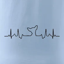 Čivava EKG Čivava EKG