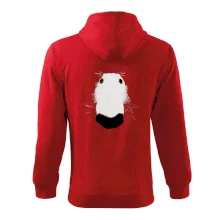 Barzoj čumák (Moňas)