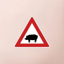 Dopravná značka - Pozor prasa domáca