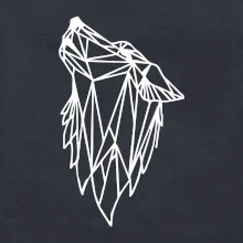 Geometria - vlk - vyjúci Geometria - vlk - vyjúci