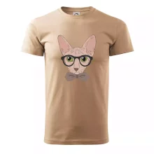 Hipster sphynx Hipster sphynx