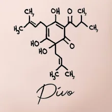 Barová chémia - pivo