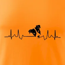 Jack Russell Terriér Ekg