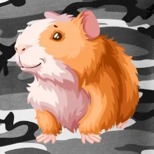 Morča - kreslené, bielo oranžové