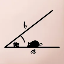 Matematická myš Matematická myš