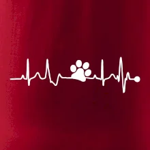 Ekg psia labka Ekg psia labka