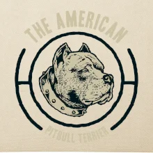 Americký pitbull terier hlava