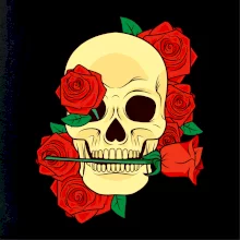 Lebka držiace ružu