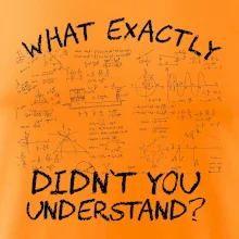 What exactly didn't you understand - physics What exactly didn't you understand - physics