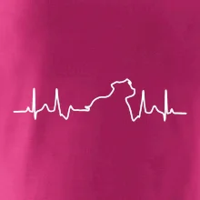 Stafordšírsky bulteriér ‎ EKG