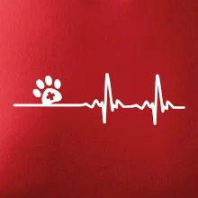 Veterinár EKG
