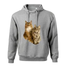 Mačky vectorizované (Moňas)