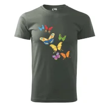 Farebné motýle Farebné motýle