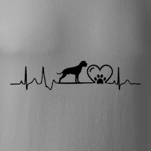Nemecký boxer EKG
