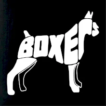 Boxer nápis v tele