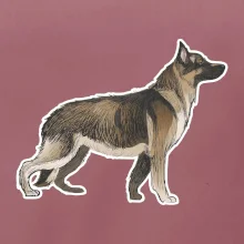 Nemecký ovčiak - hnedý kreslený