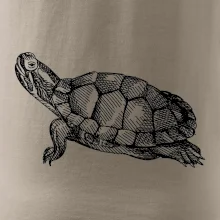 Ceruzkou kreslená korytnačka