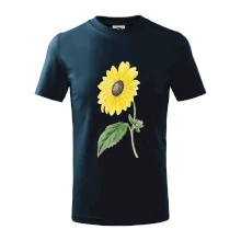 Slnečnica otočená